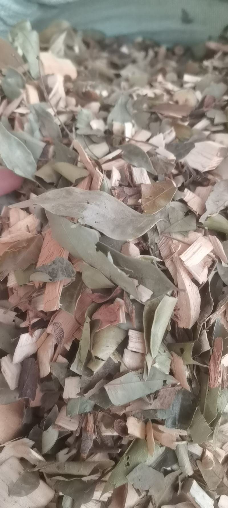 野生中药材，（猴耳环），产地直销批发零售