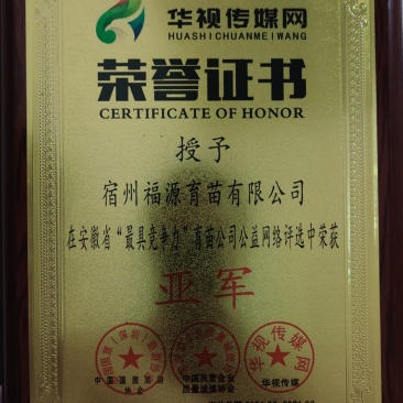各种蔬菜苗