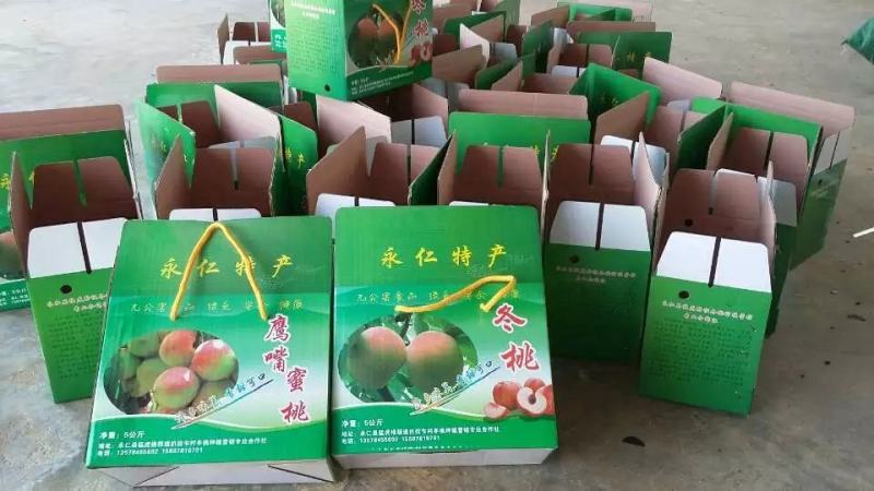 云南永仁鹰嘴桃