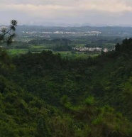 阴宅地乾山巽向廉贞来龙结的大地左边艮峰右边坤峰起