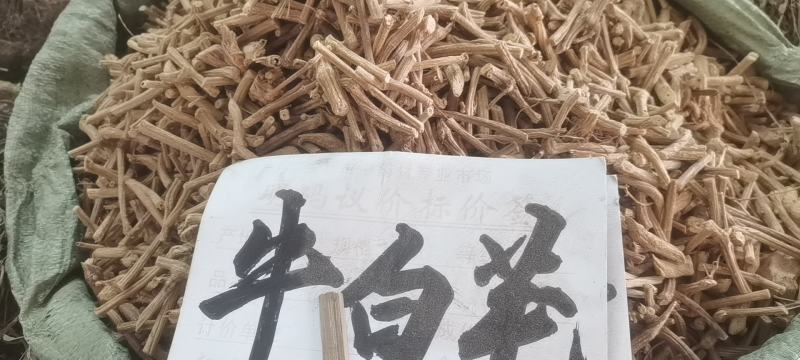 野生中药材，牛白藤，癍痧藤，产地直销批发零售