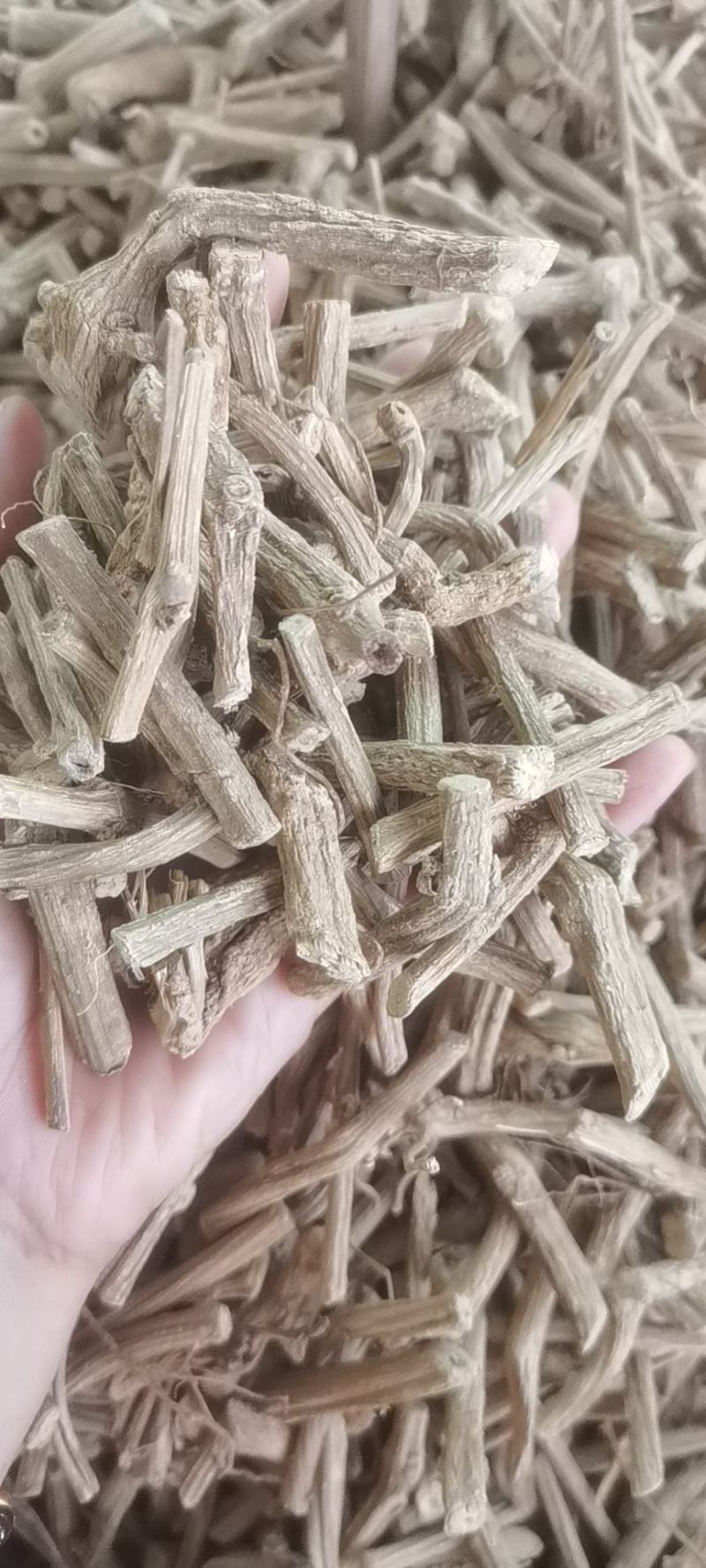 野生中药材，牛白藤，癍痧藤，产地直销批发零售