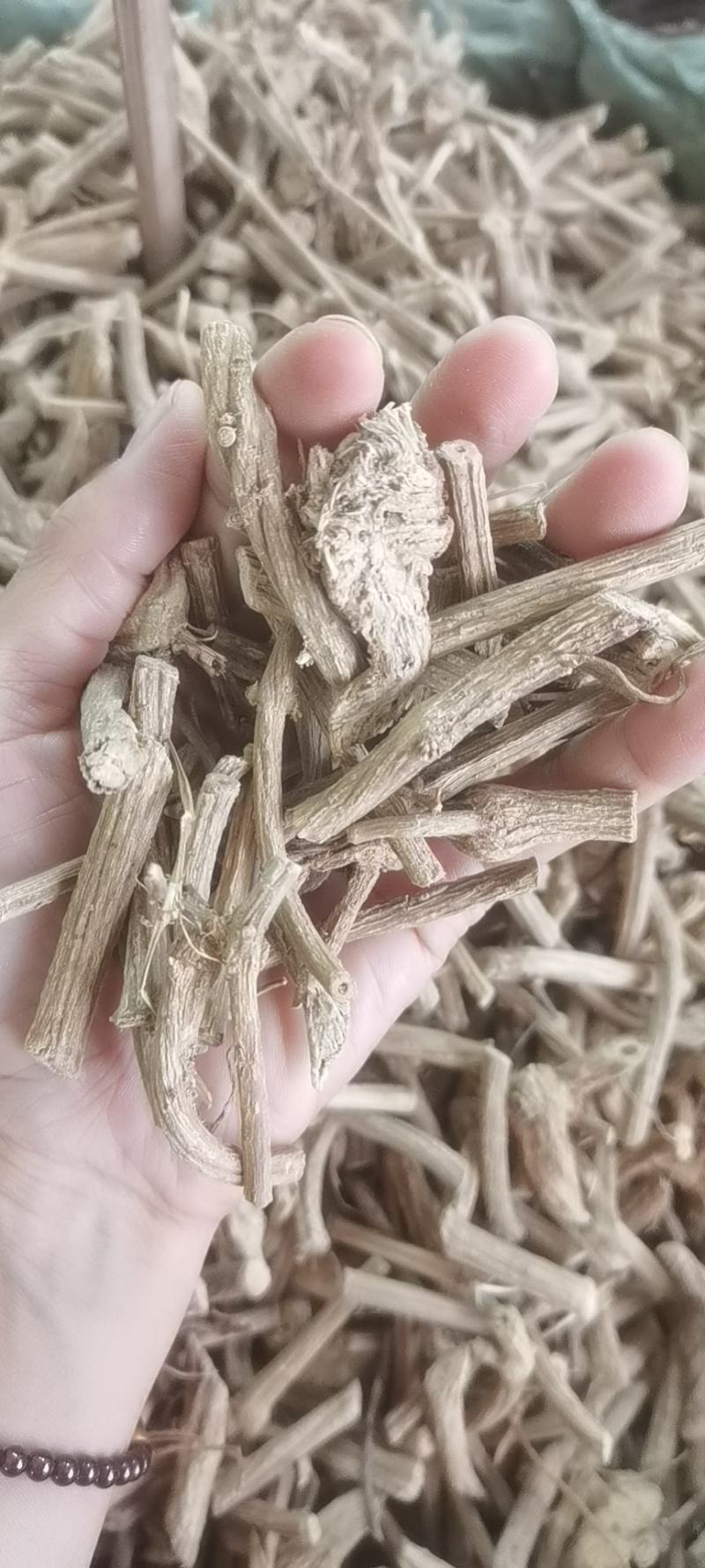 野生中药材，牛白藤，癍痧藤，产地直销批发零售