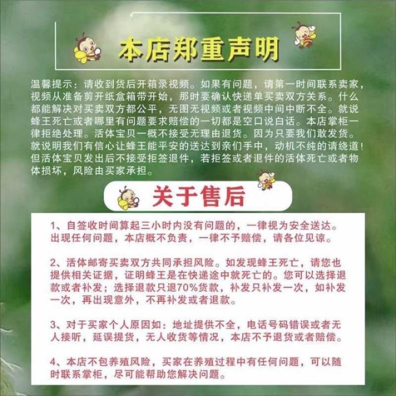 中蜂蜂群带王蜜蜂蜂群养殖带子脾广西中蜂带蜂箱中华土蜂出售