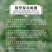 中蜂蜂群带王蜜蜂蜂群养殖带子脾广西中蜂带蜂箱中华土蜂出售