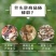 中蜂蜂群带王蜜蜂蜂群养殖带子脾广西中蜂带蜂箱中华土蜂出售