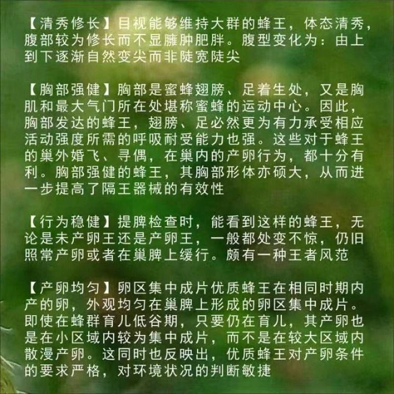 中蜂蜂群带王蜜蜂蜂群养殖带子脾广西中蜂带蜂箱中华土蜂出售