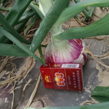 精品