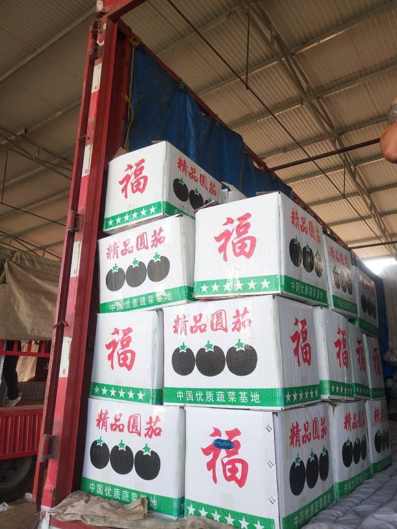 大红袍茄子，无籽，白瓤，好吃！二十多种植经验！