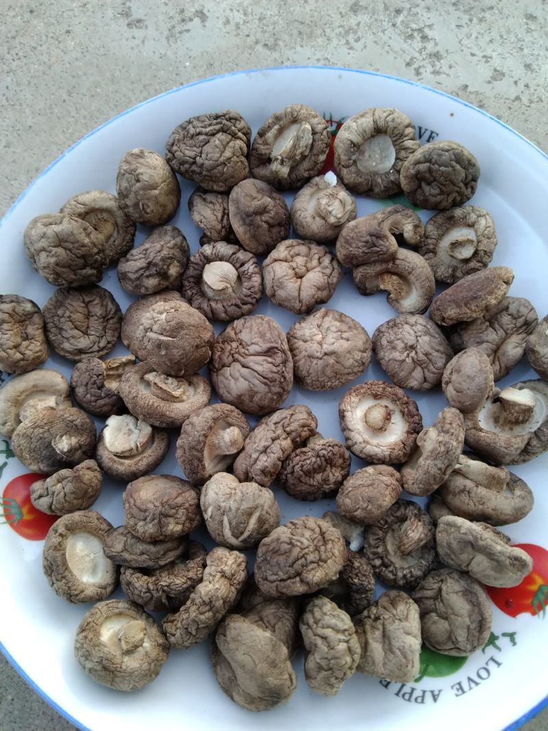 【干品】干香菇华北区域实力供货规格齐全食用菌量大从优。