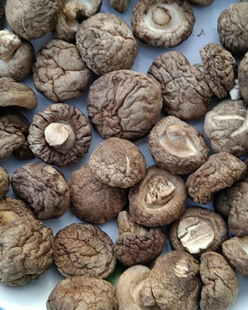 【干品】干香菇华北区域实力供货规格齐全食用菌量大从优。