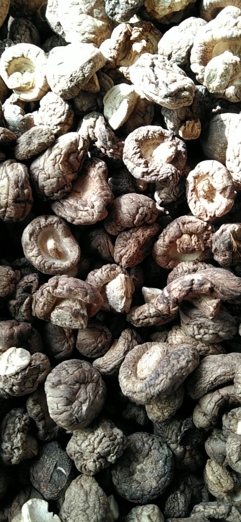 【干品】干香菇华北区域实力供货规格齐全食用菌量大从优。