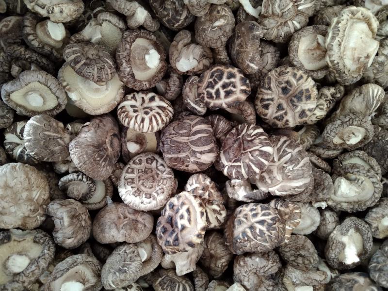 【干品】干香菇华北区域实力供货规格齐全食用菌量大从优。