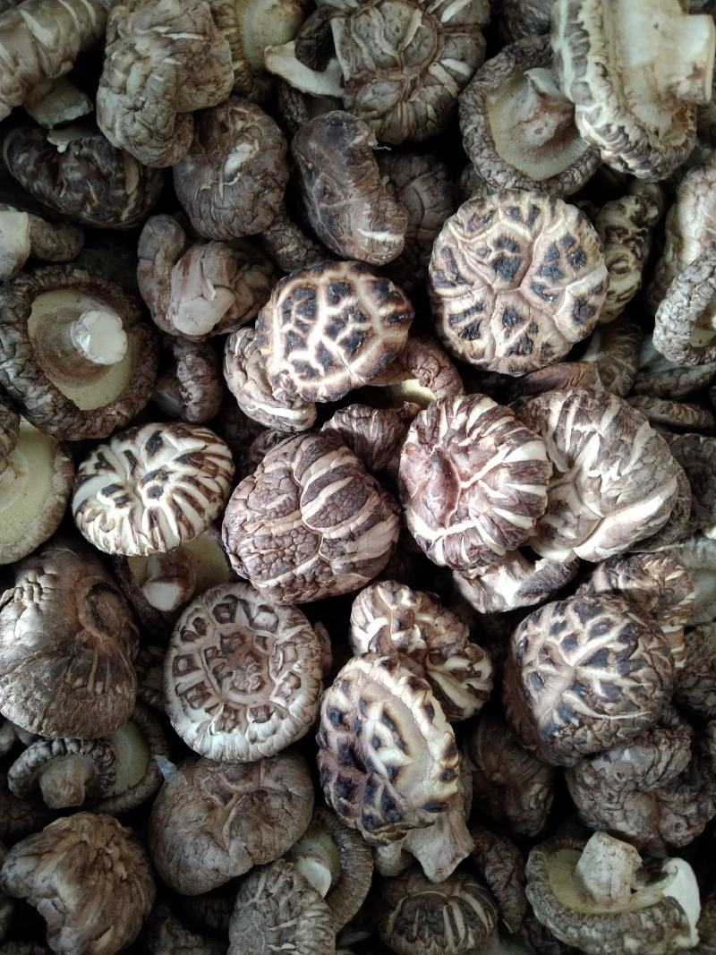 【干品】干香菇华北区域实力供货规格齐全食用菌量大从优。