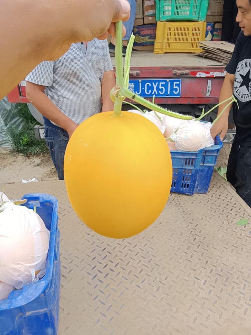 （基地直供）（热销）（推荐）久红瑞量大量大量大……