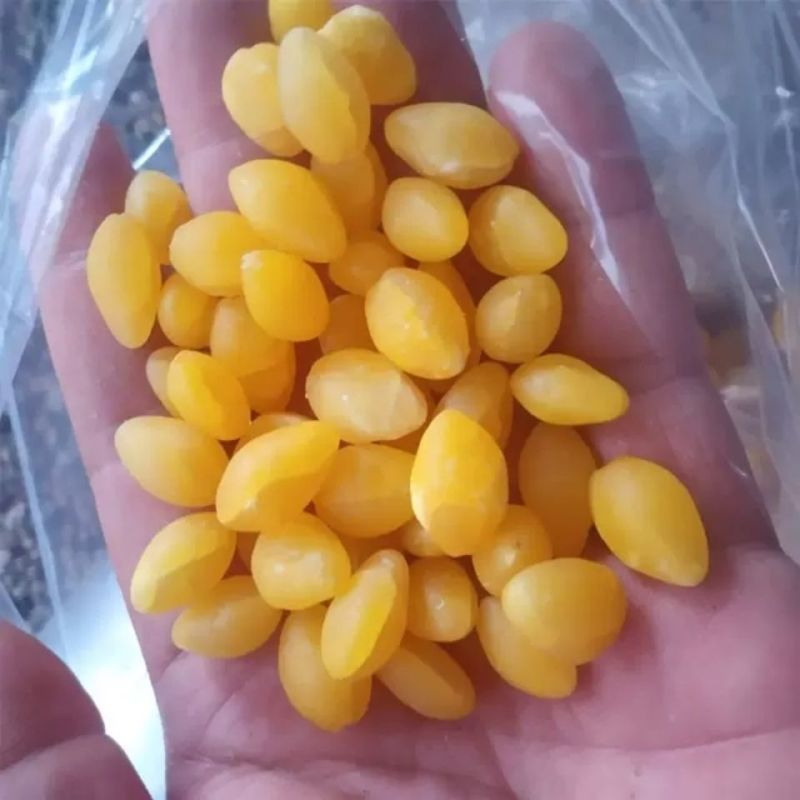 白果仁制白果仁银杏果正品干货药用