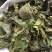 桑叶桑叶足干无硫中药材批发量大包邮