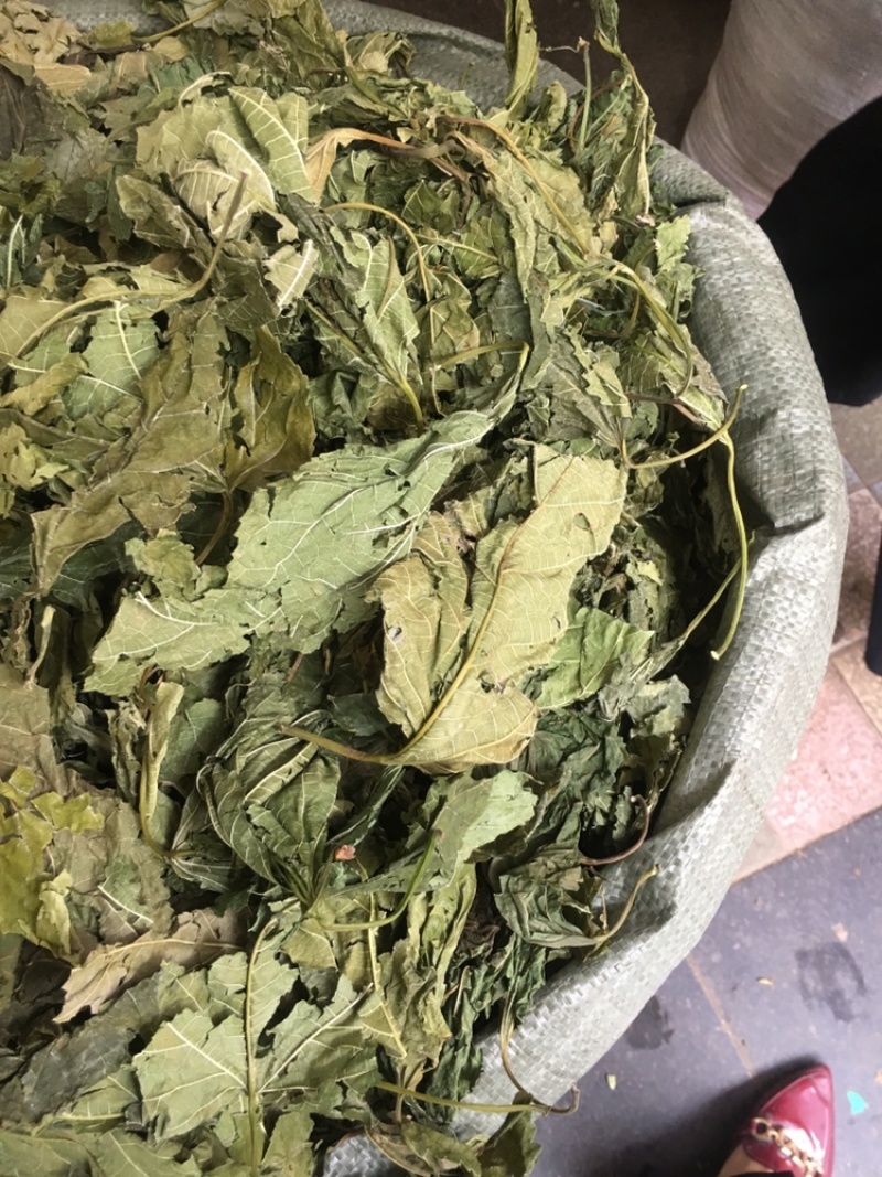 桑叶桑叶足干无硫中药材批发量大包邮