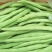 【精品】高山白荚四季豆细长条嫩度好大量上市中欢迎电联采购