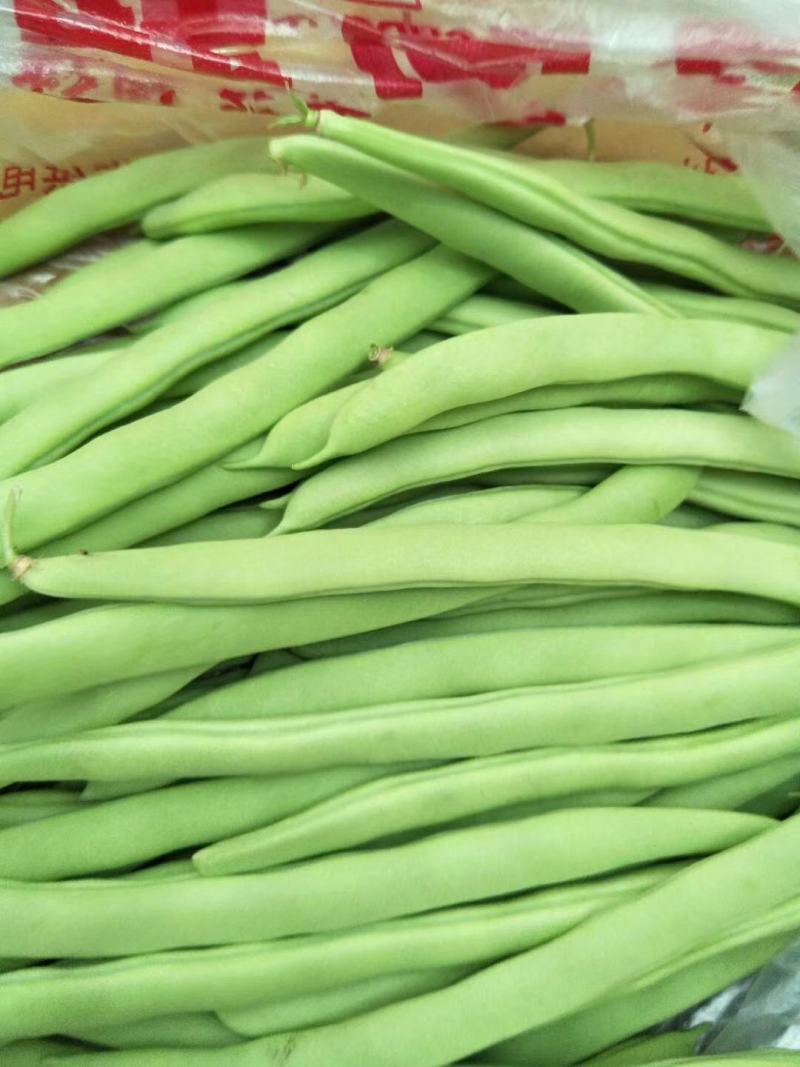 【精品】高山白荚四季豆细长条嫩度好大量上市中欢迎电联采购