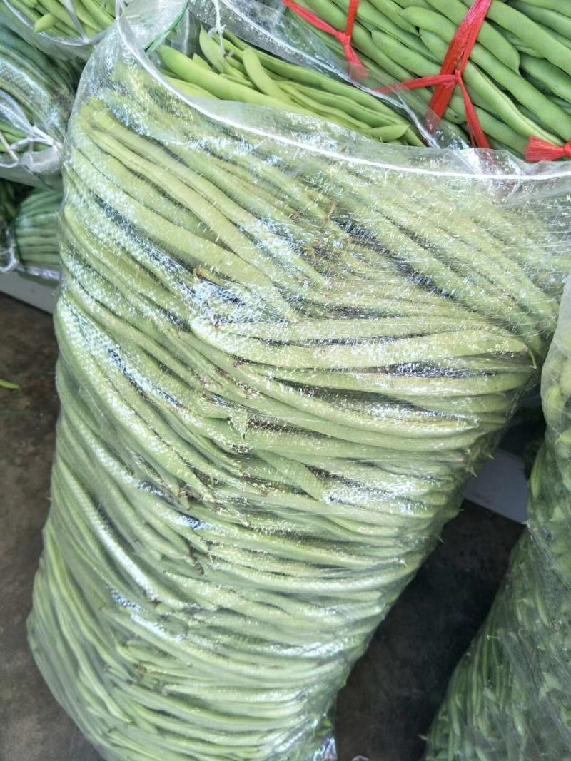 【精品】高山白荚四季豆细长条嫩度好大量上市中欢迎电联采购