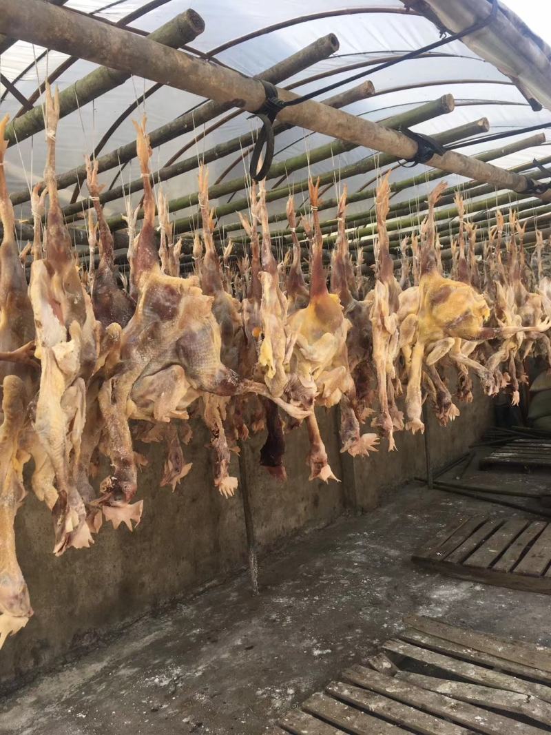 精品风吹干农家散养的五花腊肉，排骨，猪脚，鸡鸭鹅等风干产
