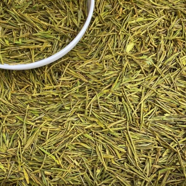 安吉白茶黄金芽