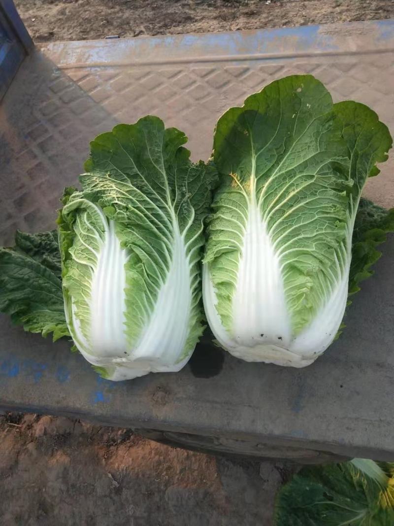 甜王西瓜