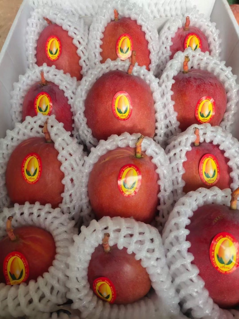 芒果凯特芒热龙鹰嘴红象牙圣心椰香红贵妃澳芒市场电商果