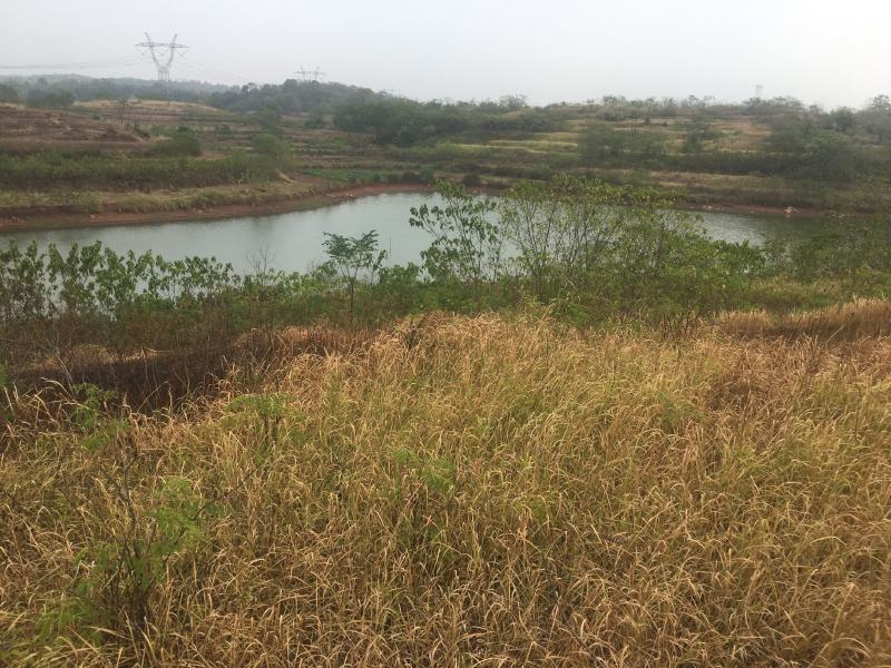 荒地直租5000亩荒山荒地出租流转水电近交通方便