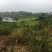 荒地直租5000亩荒山荒地出租流转水电近交通方便