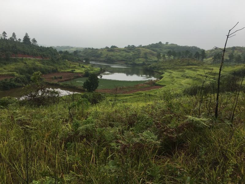 荒地直租5000亩荒山荒地出租流转水电近交通方便