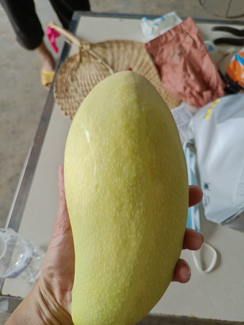 青芒