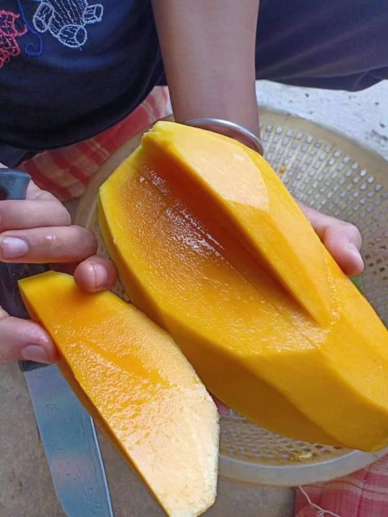 热带水果