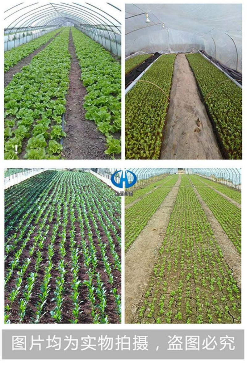 手推多行蔬菜播种机行距株距播深可调小青菜精播机