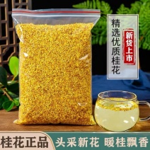 【推荐】桂林精品桂花干产地直销香味十足全国可发货