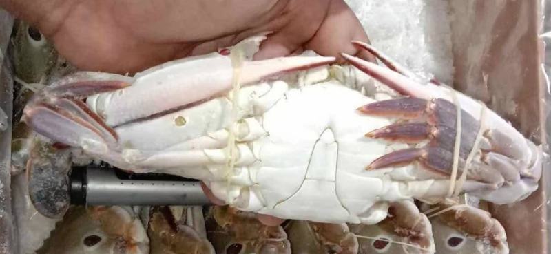 三点蟹60-80克一只规格，蟹肉饱满，厂家直销
