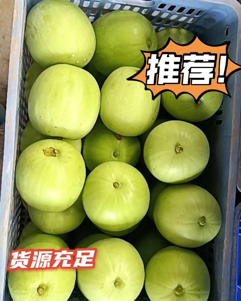 广东香芋冬瓜台湾引进对接商超连锁酒店电商社区团购
