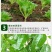 农用有机硅助剂高渗透剂增效剂展着剂防雨剂