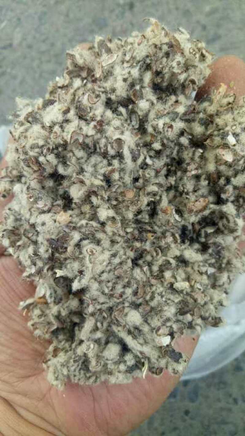 甘肃张掖兰州武威棉籽油渣油饼棉饼棉粕，毛棉籽棉壳棉渣