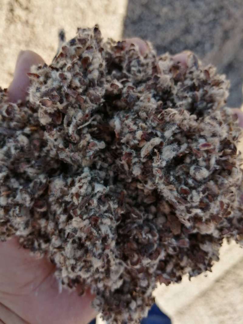 新疆棉壳新货棉壳棉饼牧场毛棉籽棉渣玉米芯颗粒
