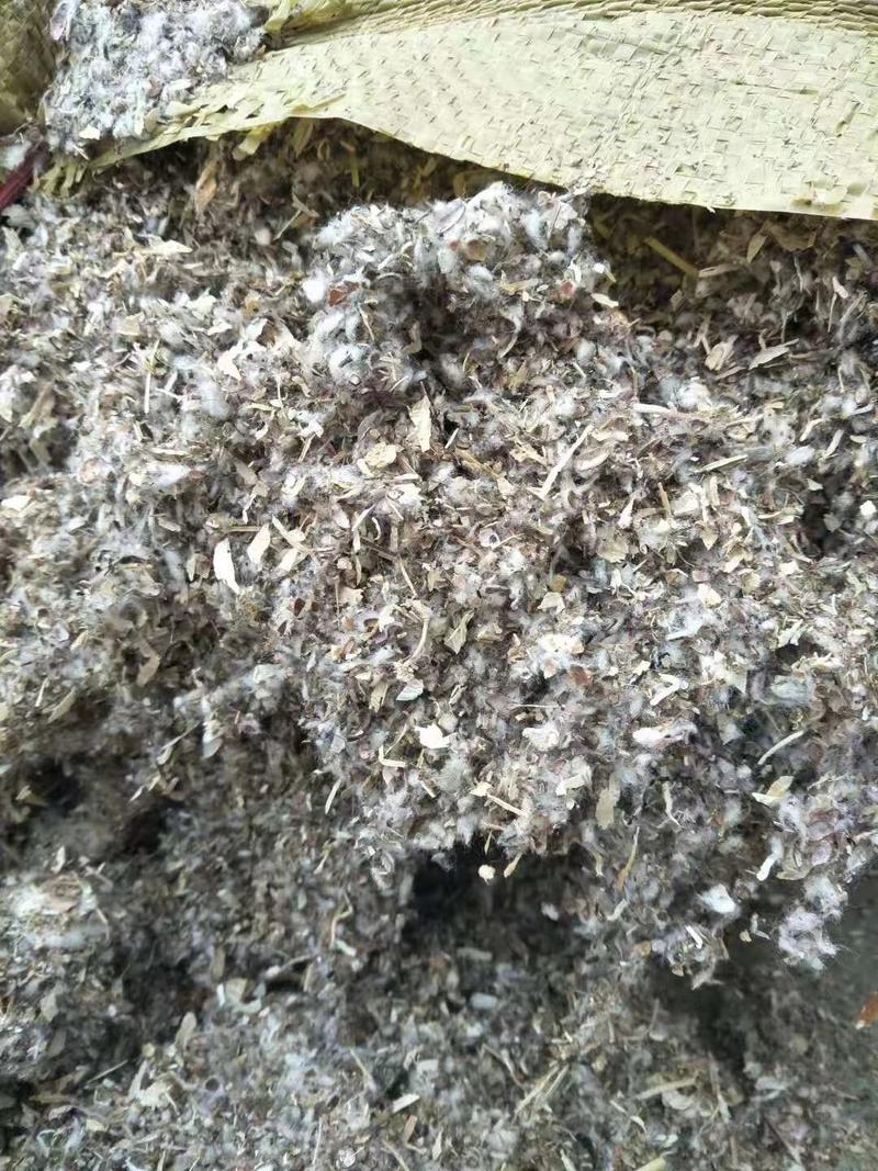 草菇栽培专用棉渣,湖南棉渣,四川棉渣,重庆棉渣,废棉菌种