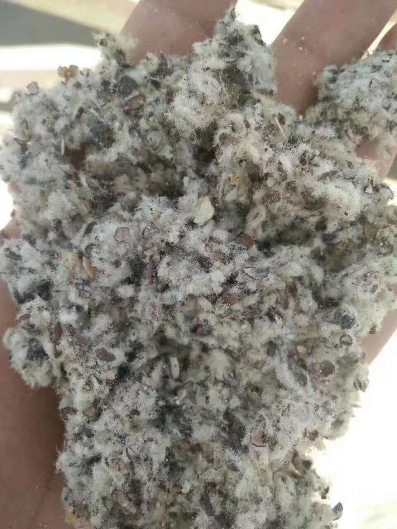 棉籽壳棉籽皮，磨盘棉籽壳，含棉仁棉粉棉籽壳，棉渣厂家直销