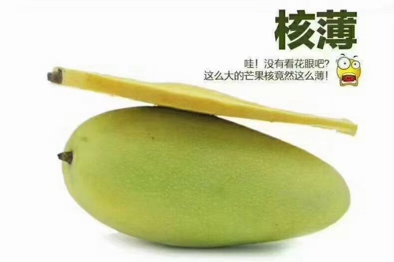 上市啦[庆祝]核薄肉厚，鲜甜多汁，现摘现发货……