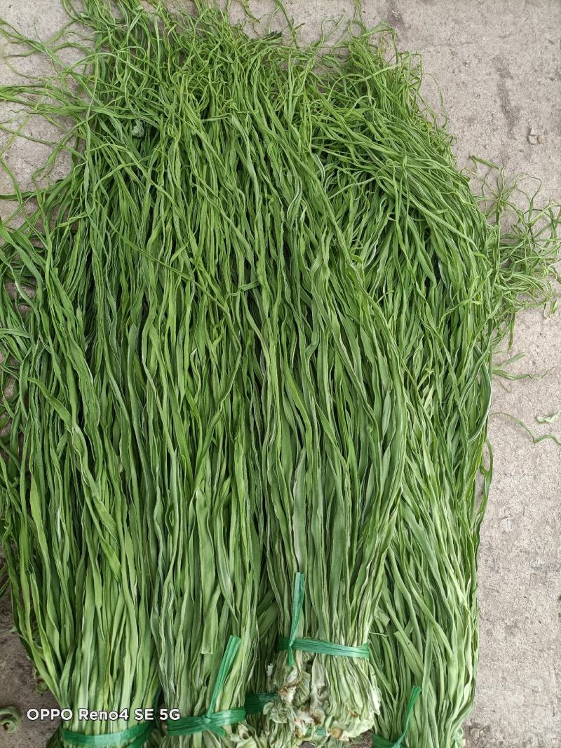 【精品】安徽特产贡菜全国接单视频看货量大优惠，全国接单