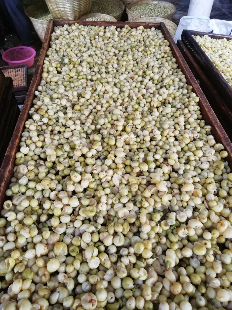 龙州特产山黄皮干2021新鲜干货，无核，足够干，量大从优