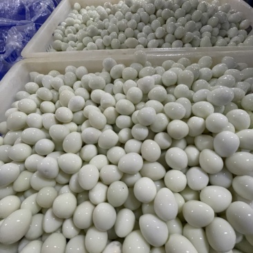 去皮熟鹌鹑蛋