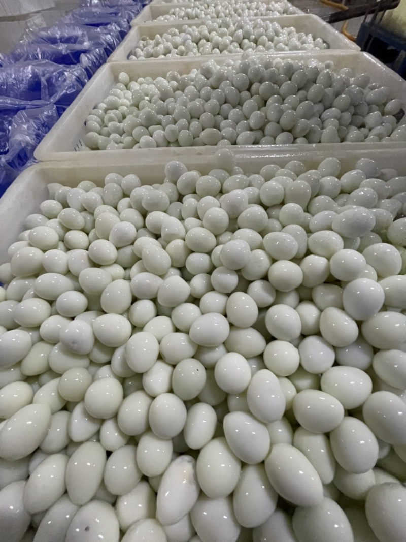 去皮熟鹌鹑蛋