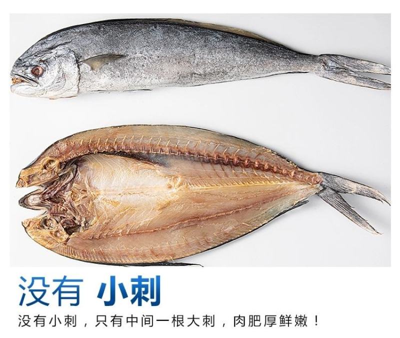 刀鲅鱼马鲛鱼咸鱼山东日照发货厂家一手货源