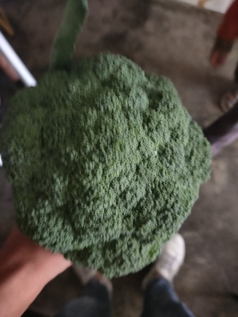 西兰花